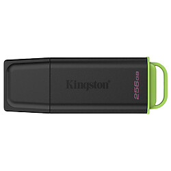 USB Flash Kingston DataTraveler Exodia G2, 256 Гб., Черный