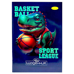 Дневник школьный "BASKETBALL", мягкий переплет, Апельсин