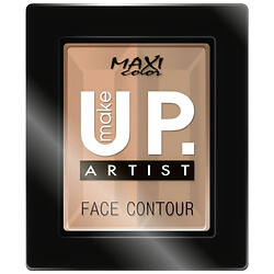 Компактный хайлайтер для лица MAXI Color Make Up Artist, микс, 8 г