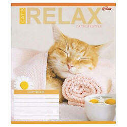 Зошит КОЛЬОРОВИЙ на 18 аркушів, КЛІТИНКА, «RELAX CATʼS», 20 ШТ., Мрії Збуваються