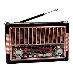 Радиоприемник Golon RX-BT086, Розовый