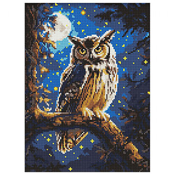 Набір з алмазною мозаїкою "Нічна сова", з АВ стразами, 30x40см, Ідейка