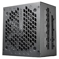 Блок живлення для корпусів Cougar GEX X2 1000, Чорний