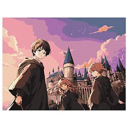 Набор для росписи WB "Harry Potter: Магическое трио", 30х40см, Ідейка