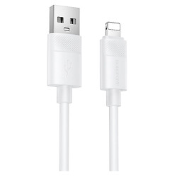 USB кабель Borofone BX123 Leya Apple iPhone SE 2022 / iPhone 14 Pro Max / iPhone 14 Plus / iPhone 14 Pro / iPhone 14 / iPhone 13 Pro / iPhone 13 Mini / iPhone 13 / iPhone 13 Pro Max / iPhone 12 Mini / iPhone 12 Pro Max, Lightning, 1.0 м., Белый