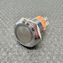 Кнопка антивандальна LB19A-P11F-ERG9-24V+N
