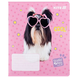 Зошит "Studio Pets", 12 арк., лін., гібр. лак + УФ лак, Kite