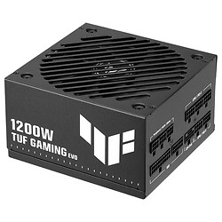 Блок питания для корпусов Asus TUF Gaming Gold EVO, Черный