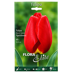 Цибулини квітів Flora Elite Тюльпан гібридний Apeldoorn, 10 шт.