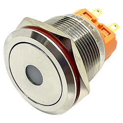 Кнопка антивандальная LB22A-P22F-DB9-24V-S