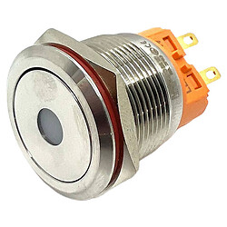 Кнопка антивандальная LB22A-P22F-DR9-24V-S