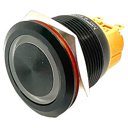 Кнопка антивандальная LB22A-P22F-EG9-24V-A