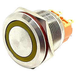 Кнопка антивандальная LB22A-P22F-EY9-24V-S
