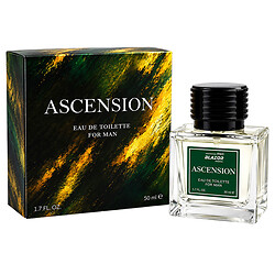 Вода туалетная мужская BLAZOR Ascencion, 50 мл