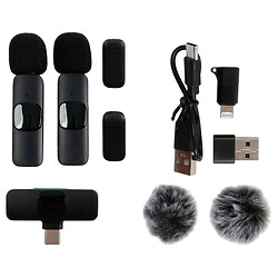 Набор: 2 микрофона, беспроводное подключение, USB-кабель, меховая ветрозащита, Mic