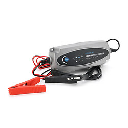 Автоматическое ЗУ  для аккумулятора Foxsur FBC1236 6V/12V