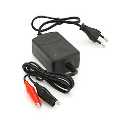 Автоматическое ЗУ для аккумулятора 12V