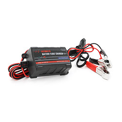 Автоматическое ЗУ для аккумулятора 6V/12V, Merlion TE4-023