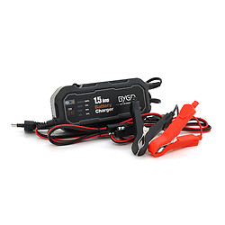 Автомобильное ЗУ BYGD 12V