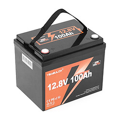 Акумуляторна батарея YEAGULCH Mini Max 12.8 В