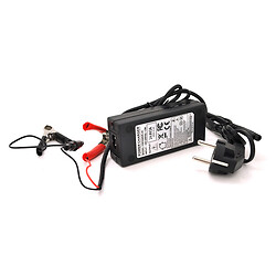 Зарядное устройство Merlion для аккумуляторов LiFePO4 12V(14,6V), 4S