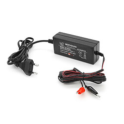 Зарядное устройство для аккумулятора Mervesan MT-4024C 24V-1A